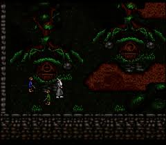File:LOTR vol. 1 SNES Gandalf in the Shire.png