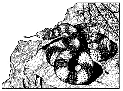 File:Snake.jpg