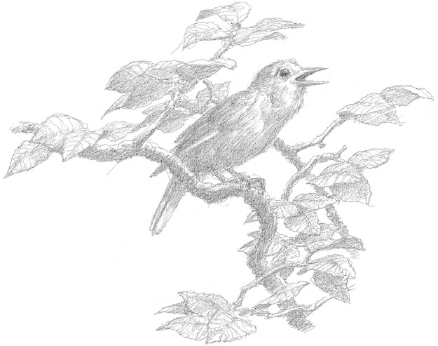 File:Alan Lee - Nightingale of Melian.jpg