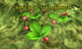 Thumbnail for version as of 13:44, 4 November 2010
