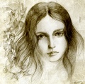 Thumbnail for version as of 17:37, 11 January 2012