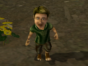 The Lord of the Rings - The Fellowship of the Ring (video game) - Sancho Proudfoot.png