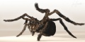 Thumbnail for version as of 11:38, 6 July 2012