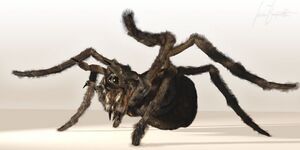 Luca Bonatti - Shelob.jpg