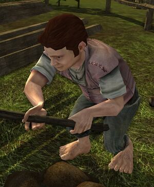 The Lord of the Rings Online - Olo Proudfoot.jpg