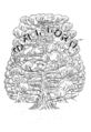 Thumbnail for version as of 15:25, 23 December 2012