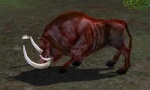 Old Bloodtusk