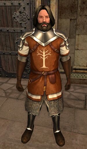 The Lord of the Rings Online - Dervorin.jpg