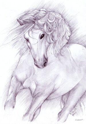 Shyangell - Shadowfax.jpg