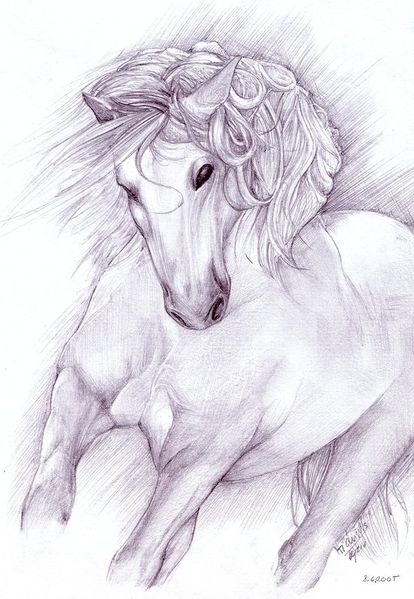 File:Shyangell - Shadowfax.jpg