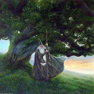John Howe - Gandalf the Grey 01.jpg