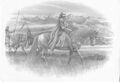 Thumbnail for version as of 07:51, 15 February 2026