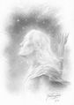 Thumbnail for version as of 16:51, 17 August 2014
