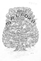 Thumbnail for version as of 06:35, 11 April 2022