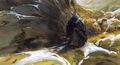 Thumbnail for version as of 01:59, 14 July 2024