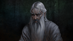 The Lord of the Rings Online