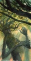 Thumbnail for version as of 16:08, 10 June 2012