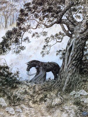 Inger Edelfeldt - Black Rider.jpg