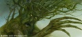 Thumbnail for version as of 19:47, 9 June 2012