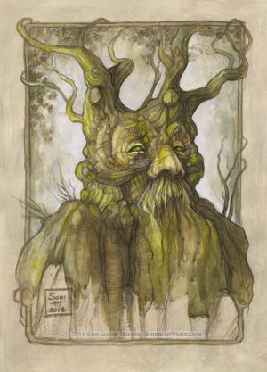 Soni Alcorn-Hender - Treebeard.jpeg