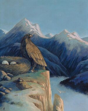 Lída Holubová - Eagle's Nest.jpg