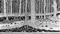 Thumbnail for version as of 00:53, 21 February 2006