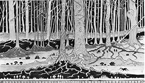 J.R.R. Tolkien - Mirkwood.jpg
