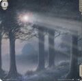 Thumbnail for version as of 02:05, 13 November 2025