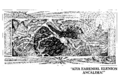 Thumbnail for version as of 11:39, 21 August 2022