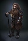 The Hobbit (film series)