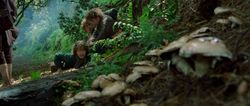 Pippin spotting mushrooms - The Lord of the Rings: The Fellowship of the Ring