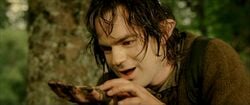The Lord of the Rings: The Return of the King