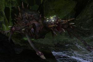 The Lord of the Rings Online - Shelob.jpg