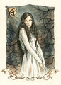 Thumbnail for version as of 15:04, 26 December 2012
