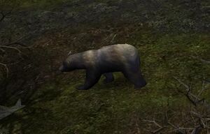 Bear Mirkwood bfme.jpg