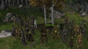 The Lord of the Rings Online - Derndingle.jpg