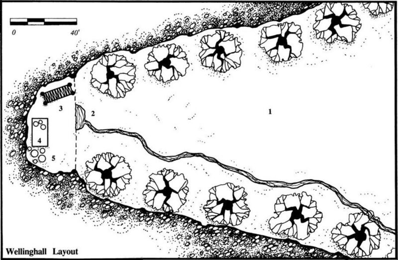 File:Wellinghall Layout.jpg