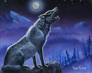 Susan Van Camp - Wolves.jpeg